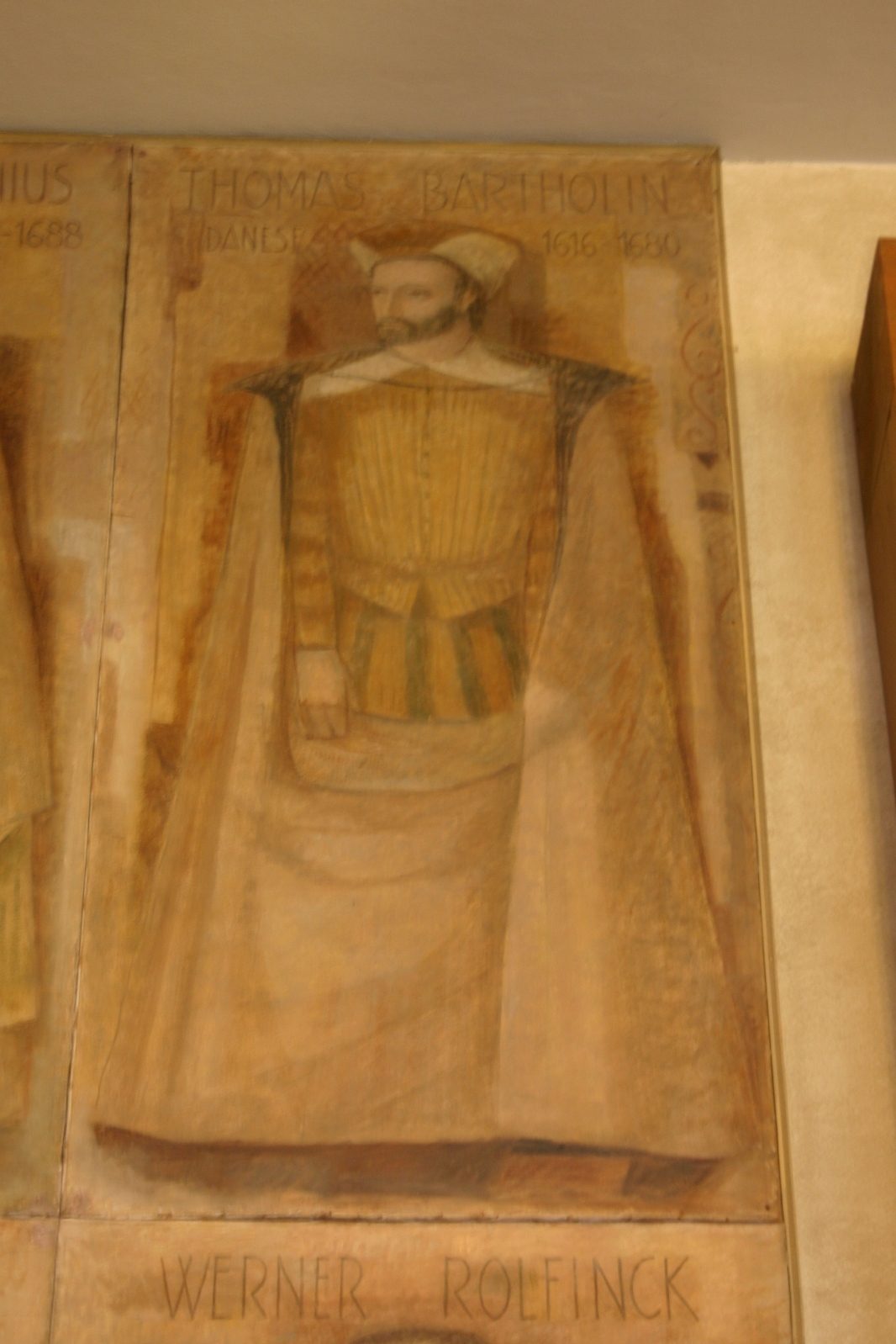 Thomas Bartholin's portrait, Sala dei Quaranta, Palazzo Bo, Padua.JPG